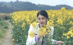 外交官秦纲被策反了吗